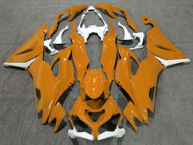2019-2022 Kawasaki ZX6R Motorcycle Fairings - White Orange Canada