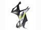 2023-2024 BMW S1000RR Motorcycle Fairings - Silver Matte Black Lime Green Canada