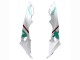2015-2016 BMW S1000RR Motorcycle Fairings - White Green Black Canada