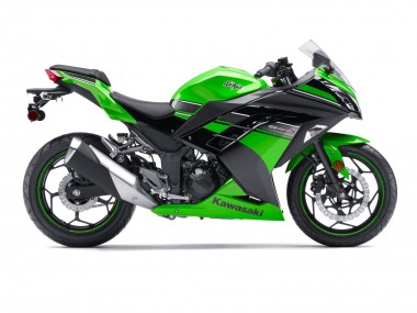 2013-2024 Kawasaki EX300 Motorcycle Fairing - Green Black Canada