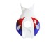 2006-2007 Honda CBR1000RR Motorcycle Fairing - White Red Blue HRC Canada