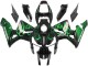 2005-2006 Honda CBR600RR Motorcycle Fairings - Glossy Black Green Flame Canada