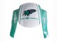 2005-2006 Honda CBR600RR Motorcycle Fairings - Light Green White Glossy Black Joe Rocket Canada