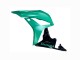 2007-2008 Honda CBR600RR Bike Fairings - Green Glossy Black Canada