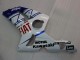 2003-2004 Kawasaki ZX6R Motorcycle Fairings - White Blue Red Fiat Canada