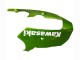 2000-2001 Kawasaki ZX9R Motorcycle Fairings - Green Flame Canada