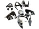2002-2003 Kawasaki ZX9R Motorcycle Fairings - Silver Glossy Black Monster Elf Canada
