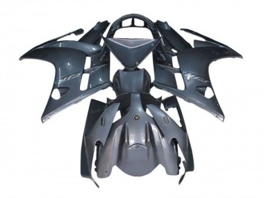 2007-2012 Yamaha FJR1300 Motorcycle Fairings - Grey Canada