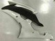 White 08-16 YZF R6 Motorcycle Fairings White 08-16 YZF R6 Motorcycle Fairings