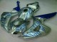 Blue Flame Silver 06-07 CBR1000RR Motorcycle Fairings Blue Flame Silver 06-07 CBR1000RR Motorcycle Fairings