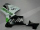 Green 05-06 CBR600RR Motorcycle Fairings Green 05-06 CBR600RR Motorcycle Fairings