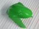 Green 05-06 ZX6R Motorcycle Fairing Green 05-06 ZX6R Motorcycle Fairing