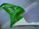 Green 06-07 CBR1000RR Motorcycle Fairings Green 06-07 CBR1000RR Motorcycle Fairings