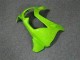 Green Black Ninja 08-12 EX250 Motorcycle Bodywork
