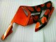 Orange Black 04-05 CBR1000RR Motorcycle Fairing Orange Black 04-05 CBR1000RR Motorcycle Fairing