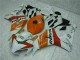 Orange White Repsol 04-05 CBR1000RR Motorcycle Fairings Orange White Repsol 04-05 CBR1000RR Motorcycle Fairings